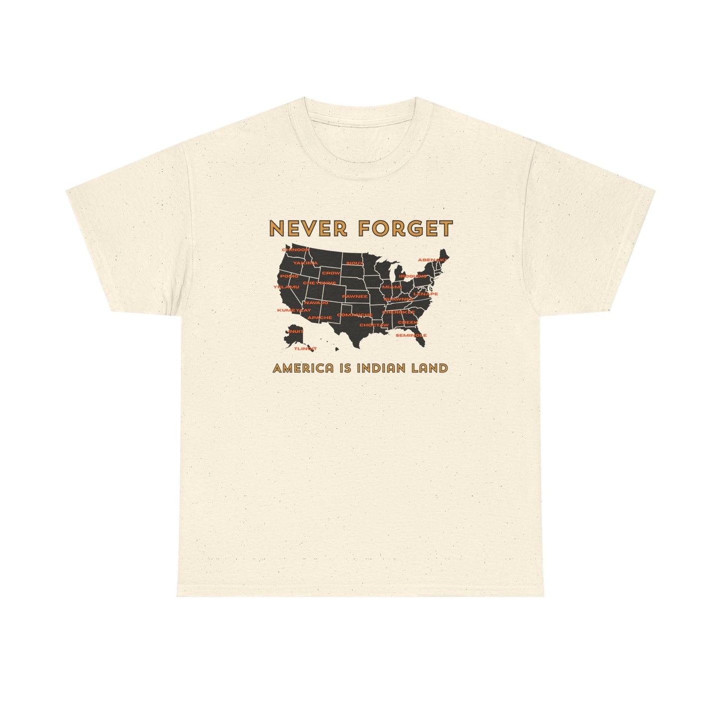 Never Forget - America is Indian Land T-shirt
