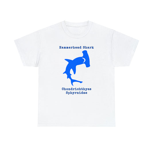 Hammerhead Shark with Scientific Names T-shirt