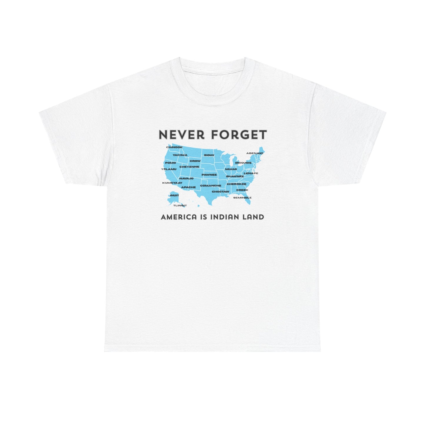 Never Forget - America is Indian Land T-shirt