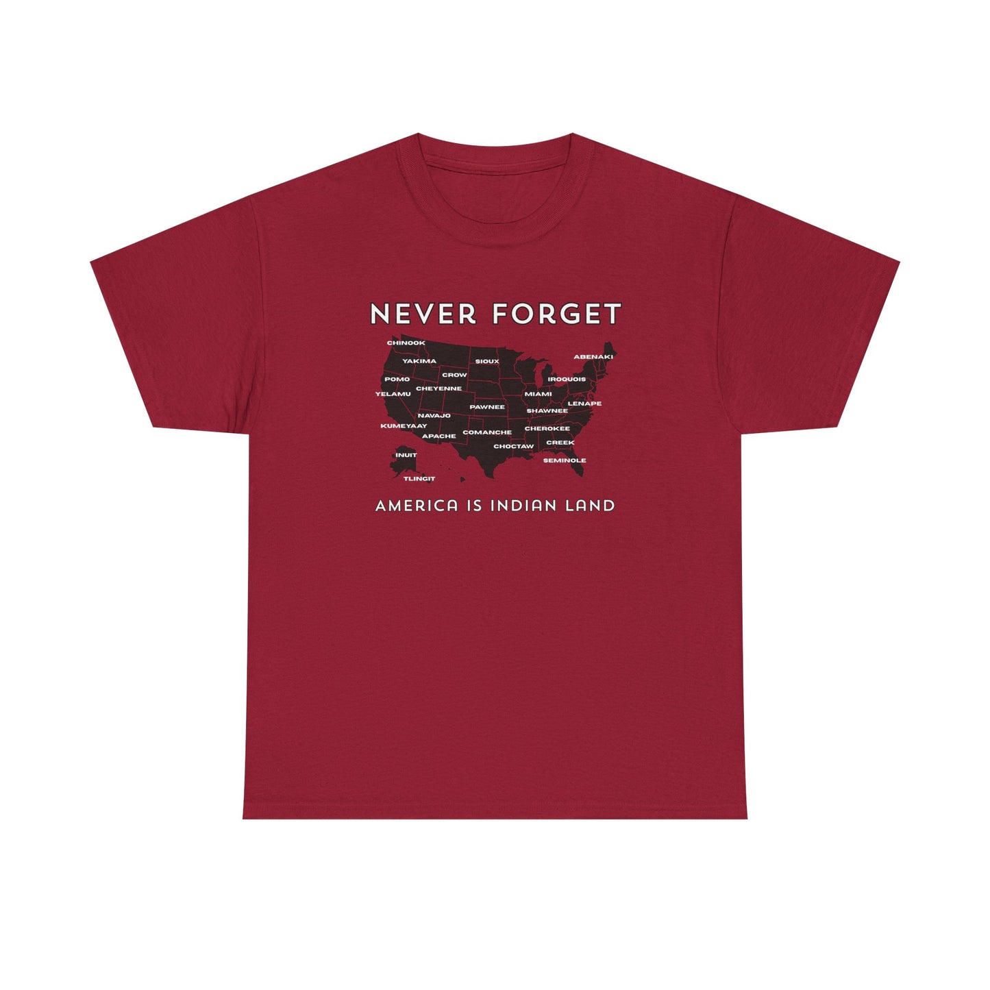 Never Forget - America is Indian Land T-shirt