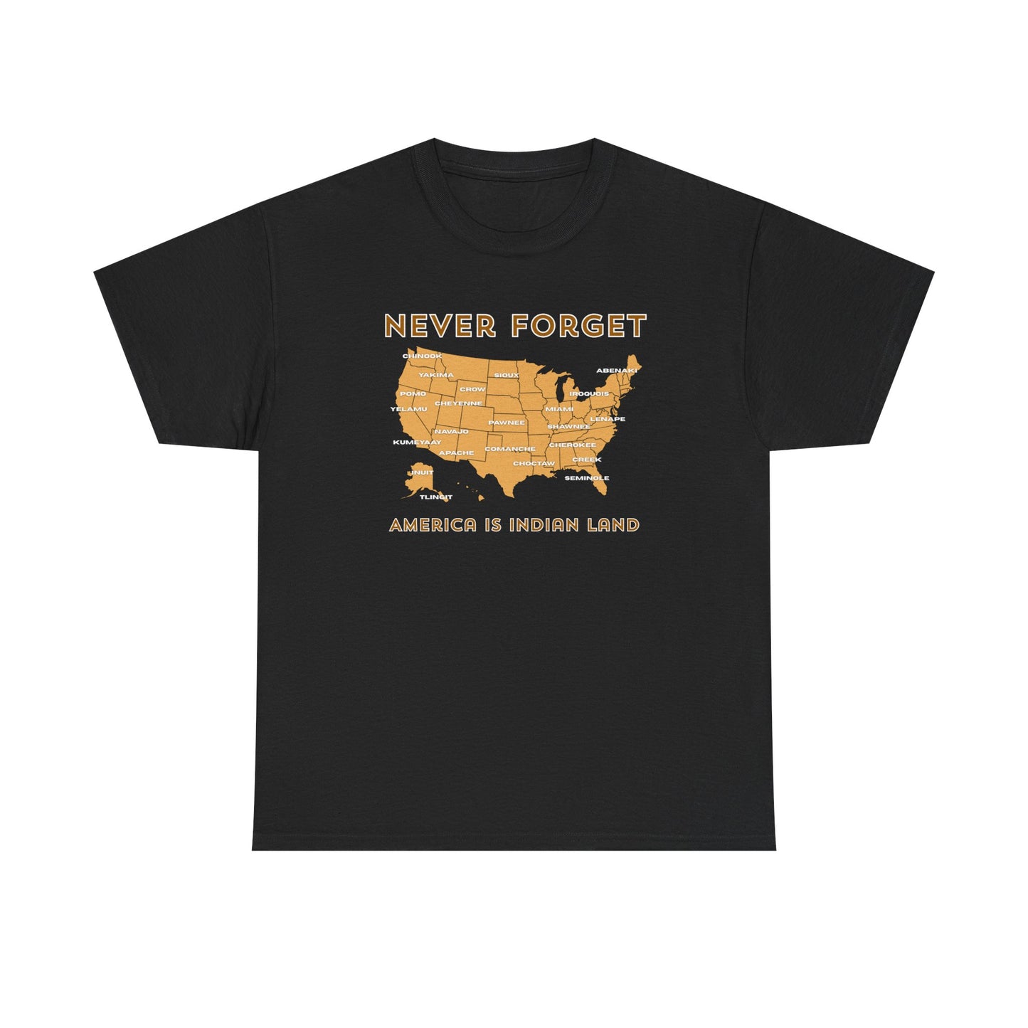Never Forget - America is Indian Land T-shirt