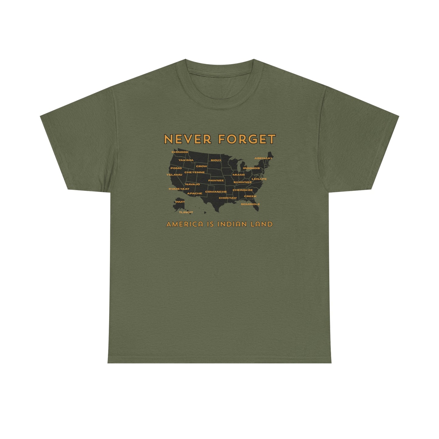 Never Forget - America is Indian Land T-shirt