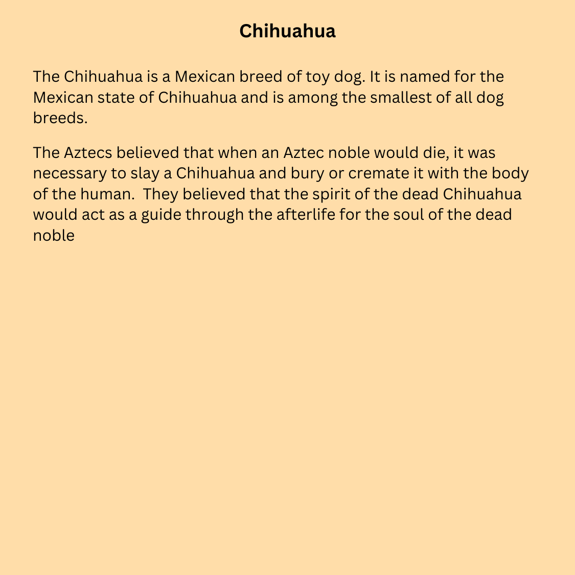 Chihuahua - Azteca Spirit Guide - Long Sleeve Tee