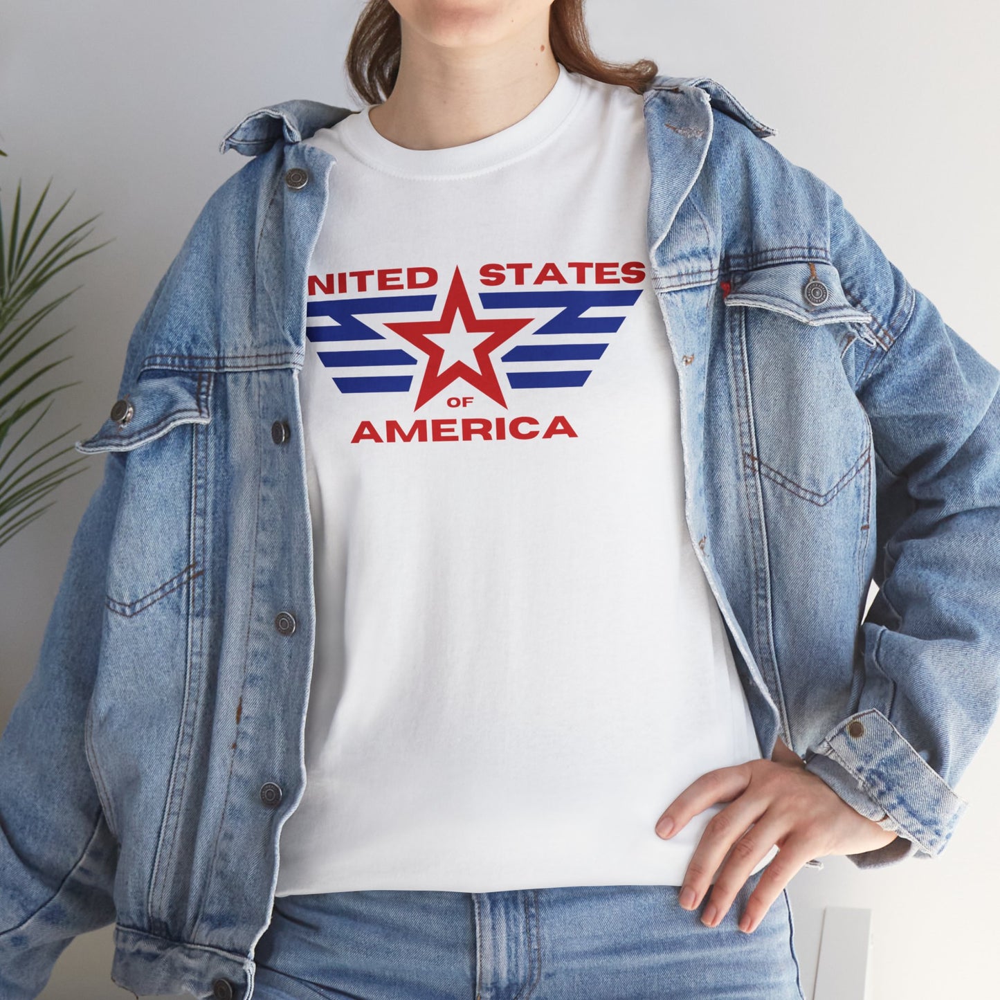 United States of America v2 T-shirt