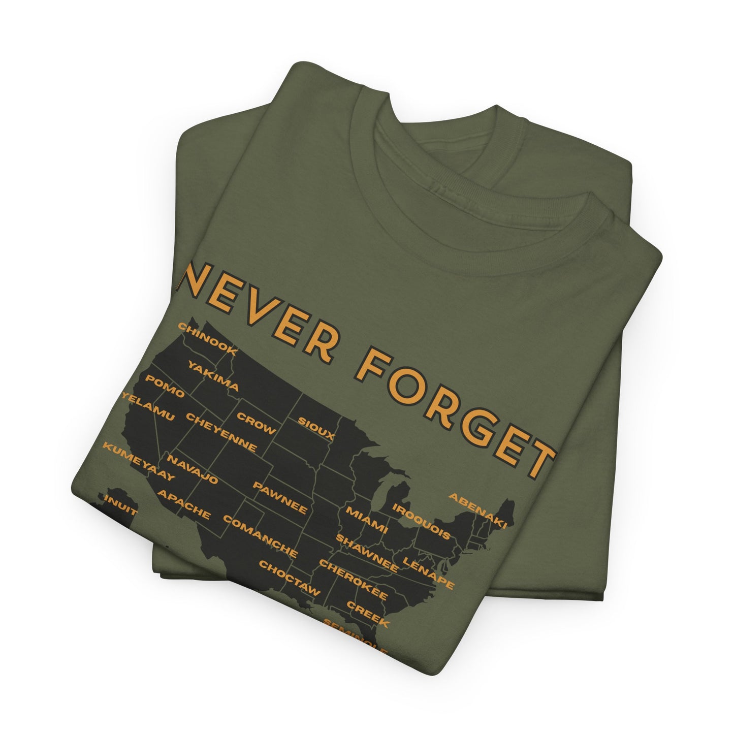 Never Forget - America is Indian Land T-shirt