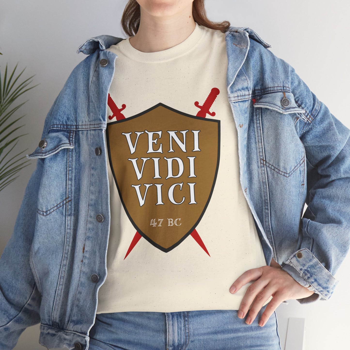 Veni Vidi Vici ("I Came, I saw, I conquered") T-shirt