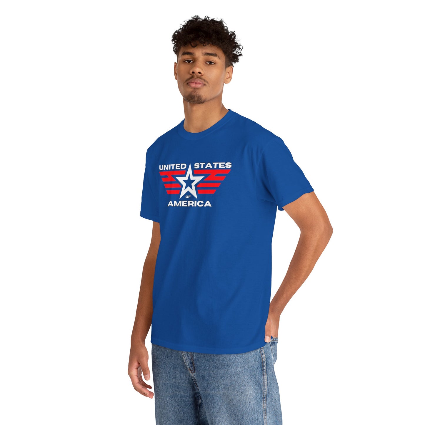 United States of America v2 T-shirt