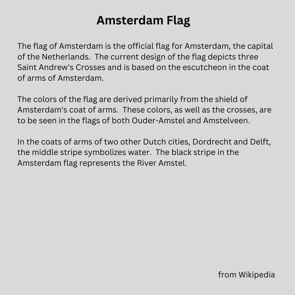 Amsterdam Flag T-shirt