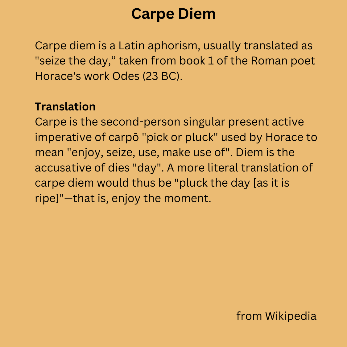 Carpe Diem ("Seize the Day") T-shirt