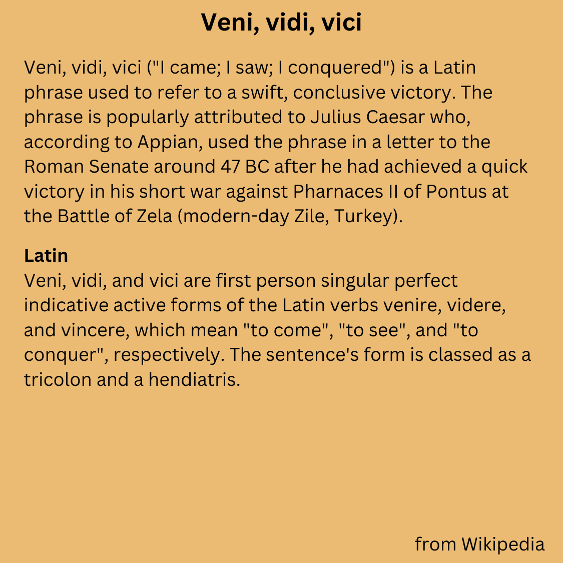 Veni Vidi Vici ("I Came, I saw, I conquered") T-shirt