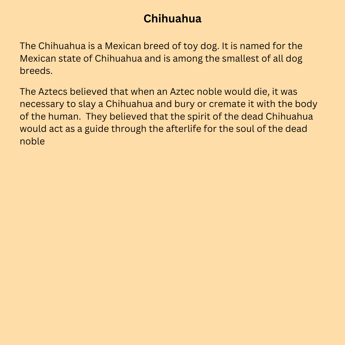 Chihuahua - Aztec Spirit Guide - T-shirt