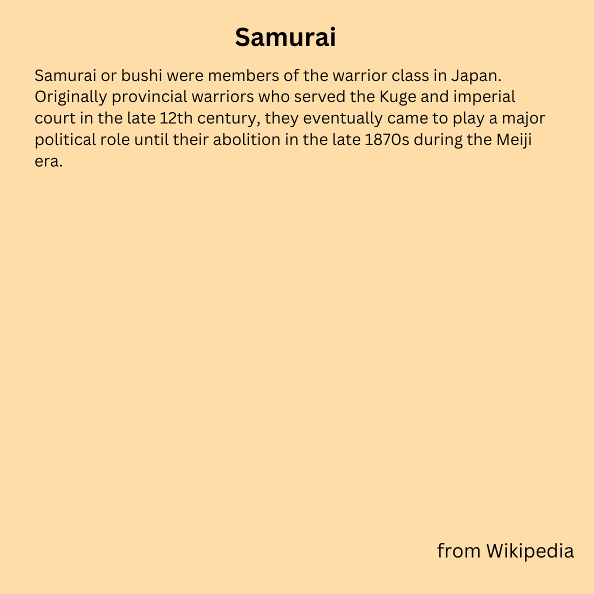 Samurai T-shirt